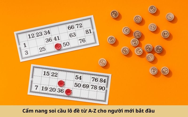 Cẩm nang soi cầu lô đề từ A-Z cho người mới bắt đầu