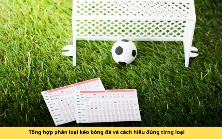 Tổng hợp phân loại kèo bóng đá và cách hiểu đúng từng loại